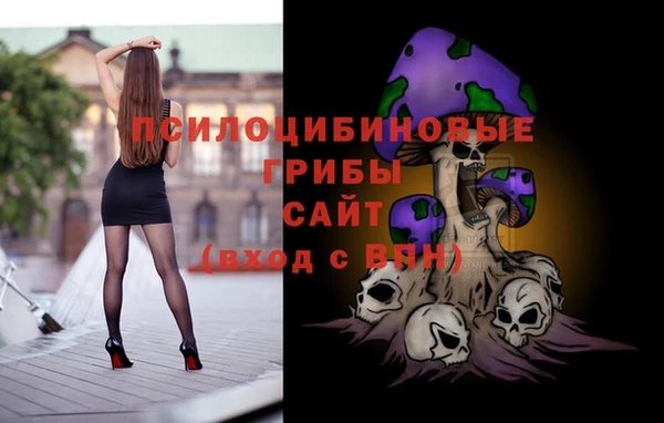 ALPHA-PVP Богородицк