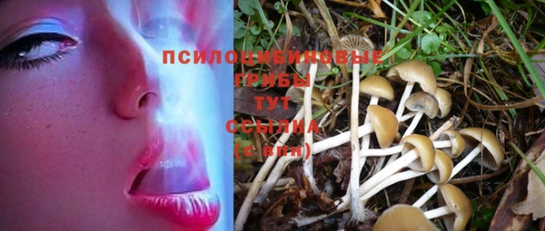 mix Богородск