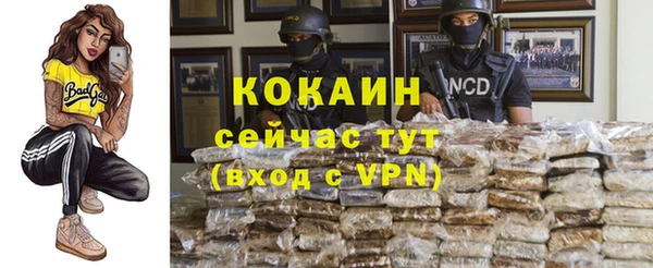 mix Богородск