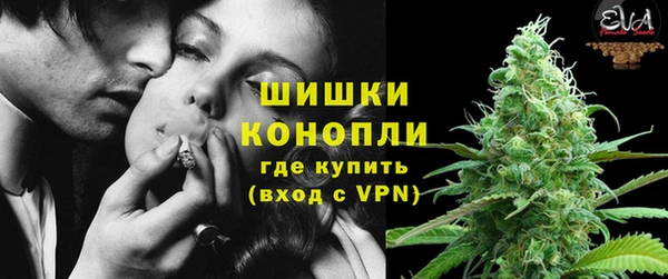 крисы Богданович