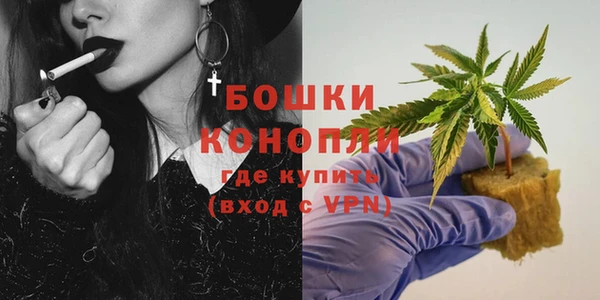 крисы Богданович