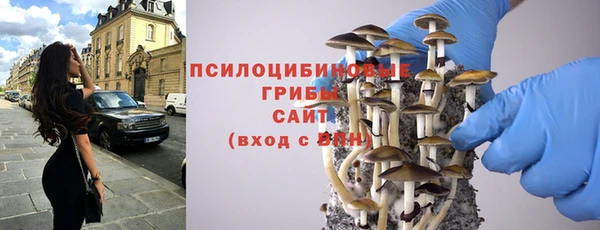 mix Богородск